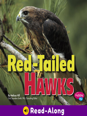 cover image of Red-Tailed Hawks